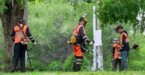 landscapers in safety gear